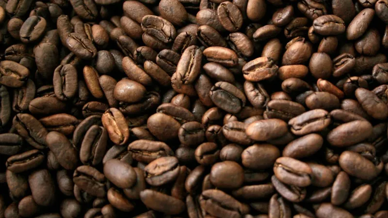 «العلاقة عكسية»... دراسة تكشف سر القهوة في الوقاية من «باركنسون»