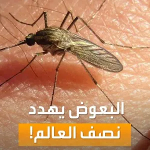 صباح العربية | حالات الملاريا ستزداد.. البعوض يهدد نصف العالم
