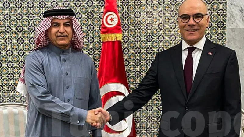 وزير الخارجية يستقبل سفير البحرين بتونس