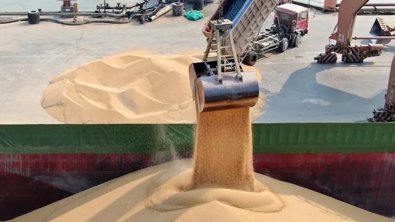 انخفاض الأسعار الدولية ينعش استيراد القمح بالمغرب خلال فصل الصيف
