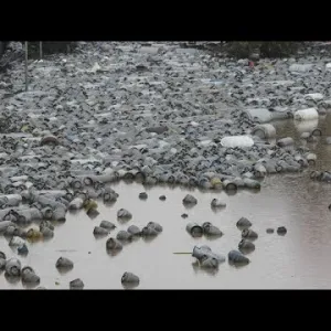 شاهد: هطول المطر يتجدد.. كارثة فيضانات البرازيل تحصد مزيدًا من الضحايا