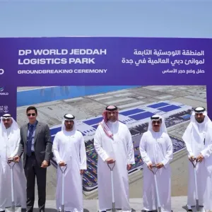 بـ250 مليون دولار.. مشروع منطقة لوجستية لموانئ دبي في جدة