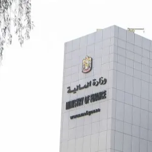 وزارة المالية تدرس تطبيق حوافز ضريبية لأنشطة البحث والتطوير