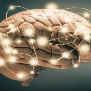 دراسة تكشف مفتاح تعزيز حجم الدماغ في مناطق الذاكرة والتعلم