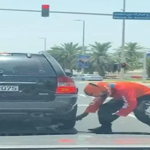 فيديو | الإمارات.. سائق توصيل ينقذ قطة صغيرة من بين عجلات سيارة