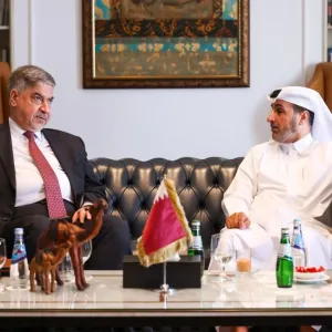 مدير المعهد الدبلوماسي يجتمع مع وكيل وزارة الخارجية العراقية