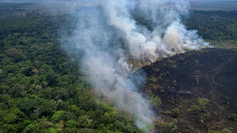 الأمازون البرازيلية شهدت خلال النصف الأول من 2024 أسوأ مستوى من الحرائق منذ عشرين عاماً