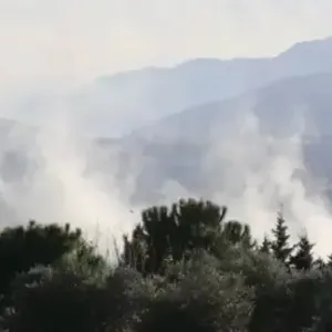 "حزب الله" يعلن قصف تجمع لجنود إسرائيليين في كفر شوبا