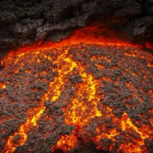 العثور على غابة مفقودة دفنها بركان عنيف انفجر قبل 22 مليون سنة