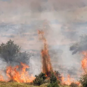 بالفيديو- "حزب الله" يُهاجم صفد والجولان بـ150 صاروخاً ومسيّرة انقضاضية... وغارات إسرائيلية مكثّفة جنوباً