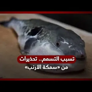 تحذيرات من «سمكة الأرنب».. تُباع على شكل فيليه وتسبب التسمم.. وليس لها علاج