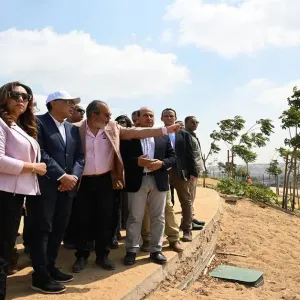 مدبولي: تنفيذ مبادرة "100 مليون شجرة" بمقدمة أجندة حكومة مصر