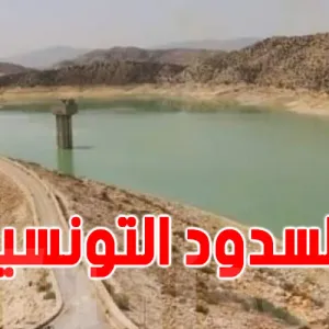 تونس: وضعية السدود مقلقة ولابد من ترشيد استهلاك المياه