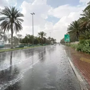 «الأرصاد»: أمطار غزيرة على منطقة الباحة