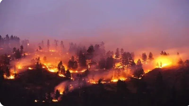 حريق ضخم في غابات قريبة من العاصمة اليونانية أثينا