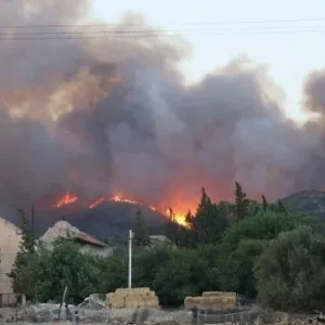 تونس : الحرائق تلتهم 106 هكتارات خلال شهر ماي