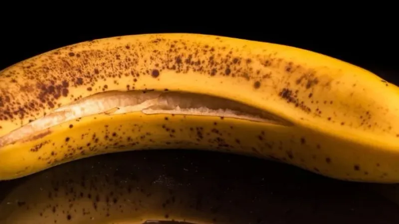 أضرار تناول الموز على معدة فارغة.. يرفع سكر الدم ويصيبك بالانتفاخ