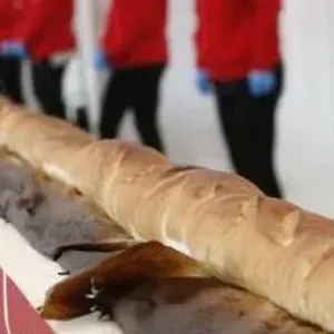 فرنسا تدخل موسوعة جينيس بأطول رغيف خبز فى العالم بطول 140.53 متر