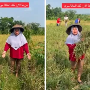 شاهد.. إندونيسية تستعرض مزرعة أرز اشترتها من عملها في السعودية طوال 30 عام