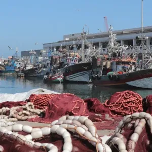 مهنيون يطالبون بالتراجع عن السماح للأجانب بالإبحار على متن بواخر الصيد المغربية