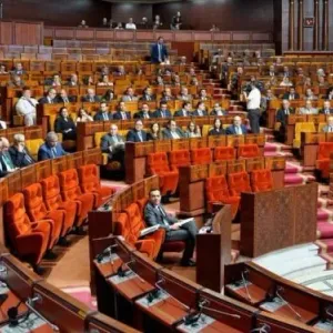 البرلمان المغربي والجمعية البرلمانية لمجلس أوروبا يناقشان قضايا الهجرة والمناخ وحجم الظاهرة في المغرب وأوروبا