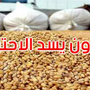 ر م ع ديوان الحبوب: الاستهلاك المحلي بلغ معدل 36 مليون قنطار من القمح الصلب والقمح اللين والشعير