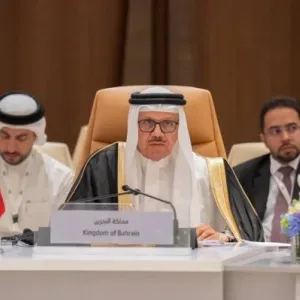 الزياني يتدارس حل الدولتين والاعتراف بالدولة الفلسطينية في اجتماع "عربي أوروبي"