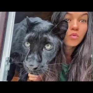 فتاة تنقذ حيوانا رضيعا وسط الغابة وصدمت بعد رعايته.. «افتكرته قطة»