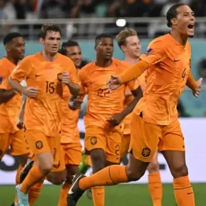 هولندا تكمل عقد المتأهلين لنصف نهائي كأس أوروبا بفوزها على تركيا