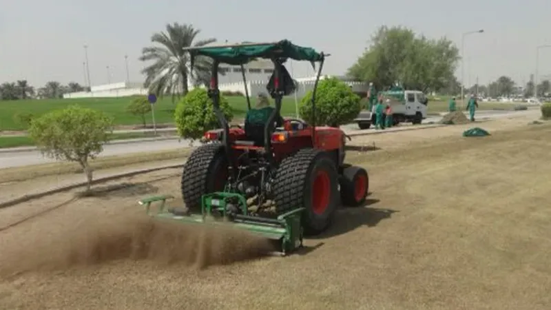 اصفرار مؤقت في الحدائق العامة.. والبلدية تكشف السبب