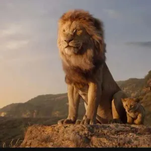 هجوم على المخرج باري جنكينز بسبب فيلم Mufasa: The Lion King