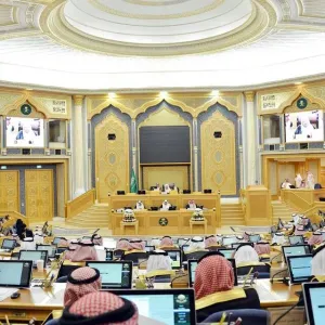 الشورى يطالب وزارة "الموارد البشرية" بمراجعة شروط الحصول على الضمان المطور