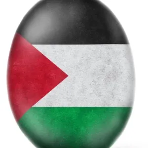 "بيضة الرقم القياسي العالمي" تتلون بعلم فلسطين