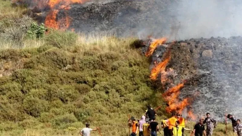 مستوطنون يحرقون حقولا زراعية شرق نابلس