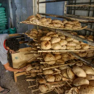"صناعة الحبوب" المصرية: انخفاض سعر الدقيق بنسبة تتراوح من 30 إلى 35%