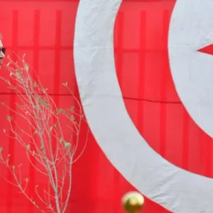 الإتحاد الدولي للسباحة يعيّن "لجنة استقرار" لإدارة نظيره التونسي
