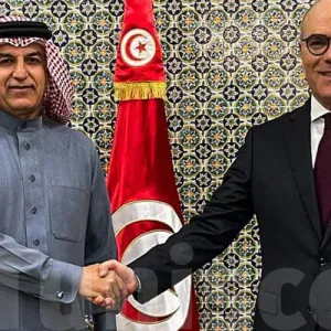 وزير الخارجية يستقبل سفير البحرين بتونس