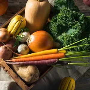 طبيب جهاز هضمي: 3 أنواع من الخضراوات لتعزيز الصحة في الخريف