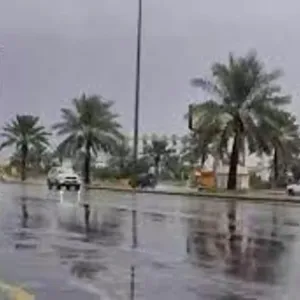 طقس المملكة الأربعاء.. أمطار رعدية وضباب على عدة مناطق