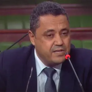 رئيس لجنة الدفاع والأمن بمجلس النواب : "حل مشكلة الهجرة غير النظامية  للأفارقة من جنوب الصحراء إلى تونس حلها إقليمي ودولي بالأساس "
