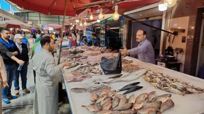 شعبة الأسماك: مصر الأولى عربيًا وأفريقيًا في الإنتاج بـ2.4 مليون طن سنويًا
