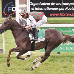 «مراد ياس» بطل ديربي الخيول العربية بفرنسا