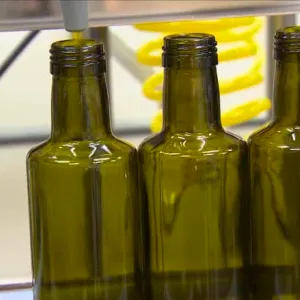 ما الفرق بين فوائد الزيتون وزيت الزيتون؟