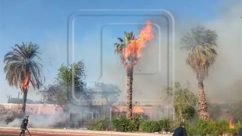 اندلاع حريق بنخيل وأشجار مدرسة في المنيا والحماية المدنية تمنع امتداده (صور)