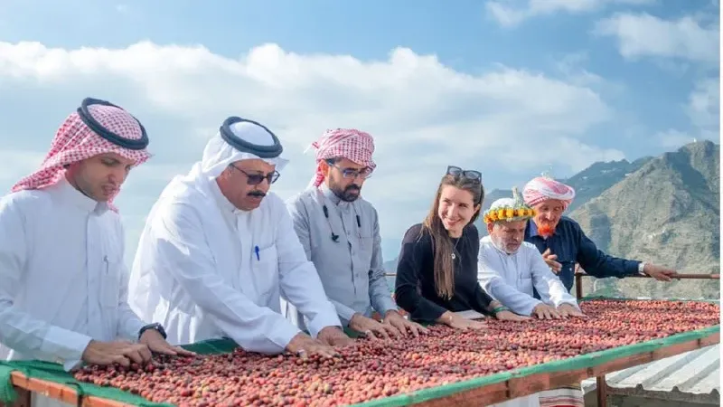 “ريف السعودية” تخصص 61 مليون ريال لزيادة إنتاج القهوة