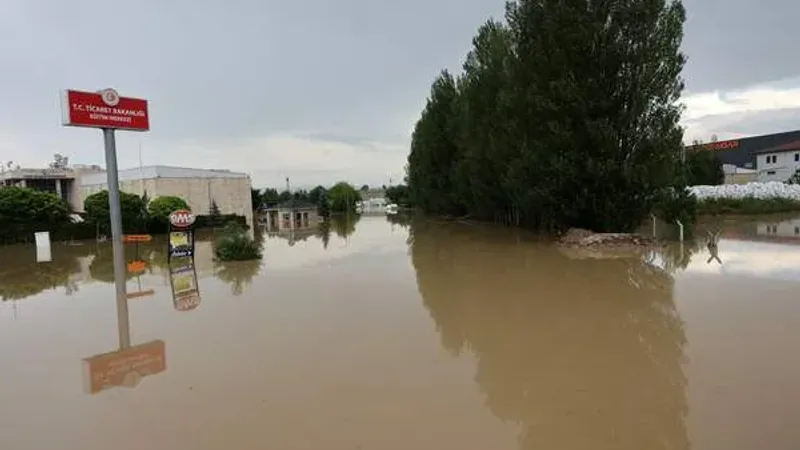 مصرع 15 شخص بسبب الأمطار الغزيرة في سلطنة عمان