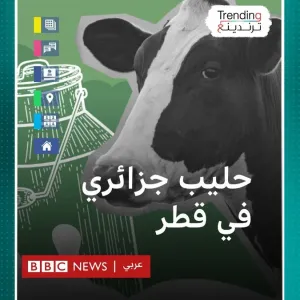 3.5 مليار دولار.. ما تفاصيل الاستثمارات القطرية في الحليب الجزائري؟  #بي_بي_سي_ترندينغ