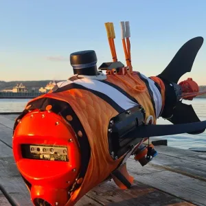 روبوتات تشبه الأسماك "تسبح" في الممرات المائية بالشرق الأوسط..ما دورها؟