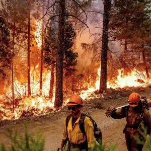 إجلاء آلاف الأشخاص شمال كاليفورنيا بسبب حرائق الغابات