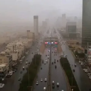 بالفيديو.. محلل طقس يكشف عن بداية موعد هطول أمطار  غزيرة على مناطق المملكة وتوقعات باستمرارها حتى بداية مايو